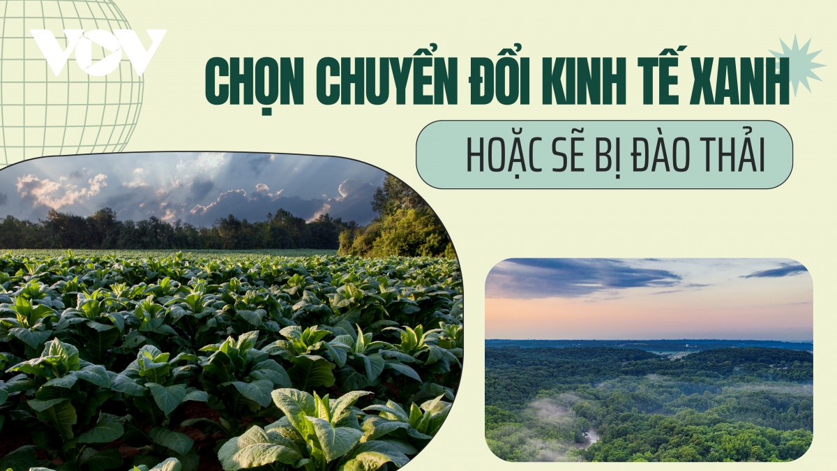 Chọn chuyển đổi Kinh tế xanh hoặc sẽ bị đào thải